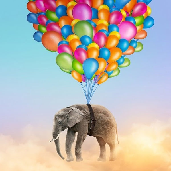 New Balloon Bundler!                                                                                                                     Located on every Product Page, you can add as many balloons as you wish!