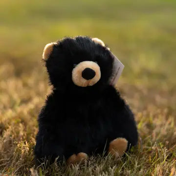 Binx Bear
