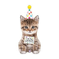 Birthday Kitten Super Shape