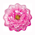Pink Peony Super Shape