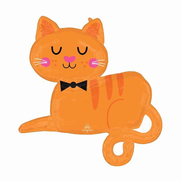 Orange Tabby Cat Super Shape