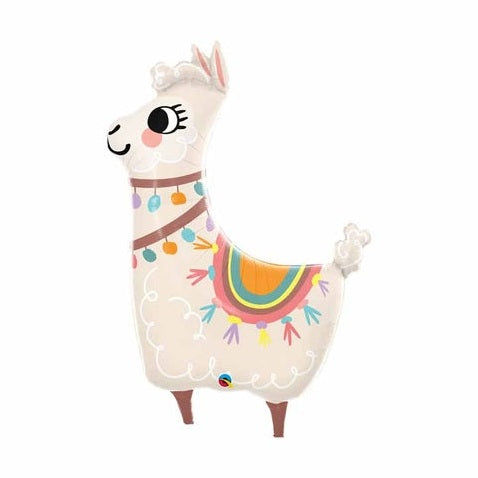 Lama Fiesta Super Shape